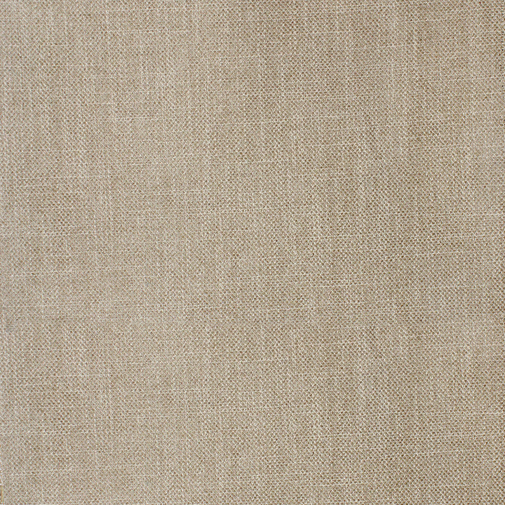 F4047 Desert by Greenhouse Designer Fabric F04: Performance Neutral 100% Polyester China 50,000 double rubs Performance </p><p>Repeat: None 56" - Swanky Fabrics -