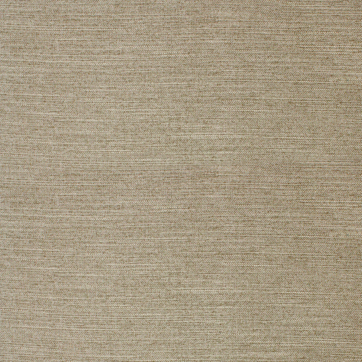 F4063 Fawn by Greenhouse Designer Fabric 100% Polyester China 60,000 </p><p>Repeat: None 56" - Swanky Fabrics -