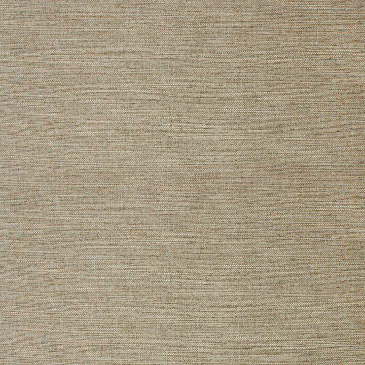 F4063 Fawn by Greenhouse Fabric 100% Polyester China 60,000 </p><p>Repeat: None 56" - Fabric Carolina -