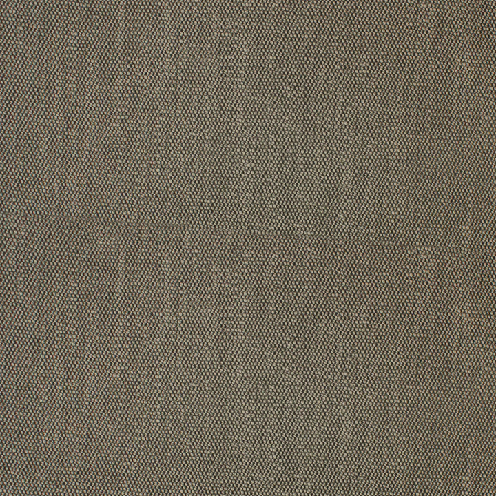 F4075 Ash by Greenhouse Fabric F04: Performance Neutral 80% Polyester, 20% Viscose China 50,000 double rubs Performance </p><p>Repeat: None 55" - Fabric Carolina -
