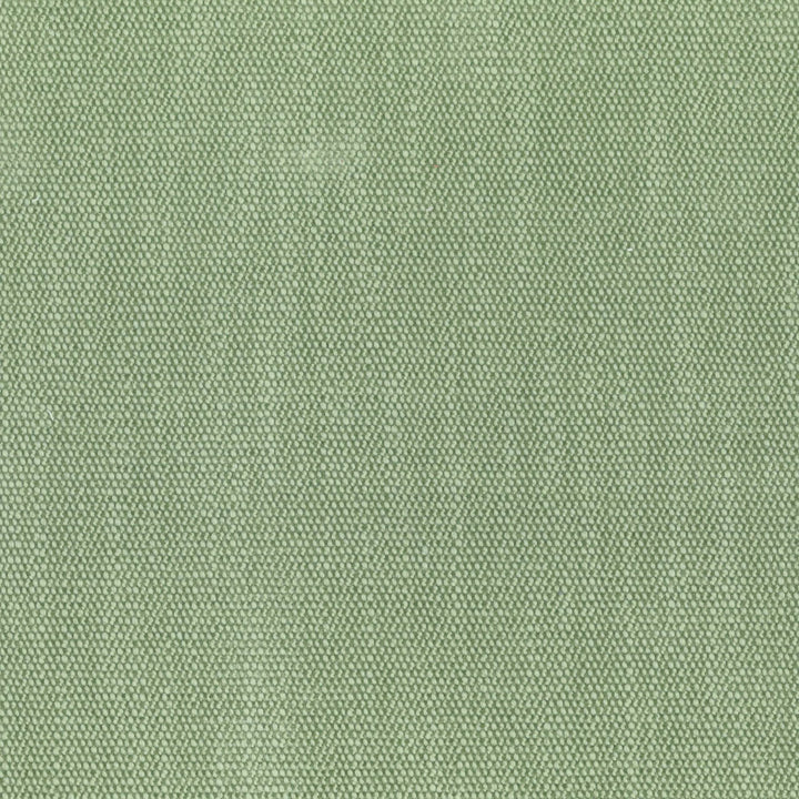 F4089 Basil by Greenhouse Designer Fabric F05: Performance Color 80% Polyester, 20% Viscose China 50,000 double rubs Performance </p><p>Repeat: None 55" - Swanky Fabrics -