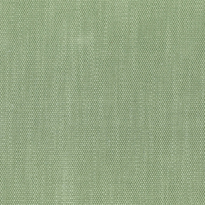F4089 Basil by Greenhouse Fabric F05: Performance Color 80% Polyester, 20% Viscose China 50,000 double rubs Performance </p><p>Repeat: None 55" - Fabric Carolina -