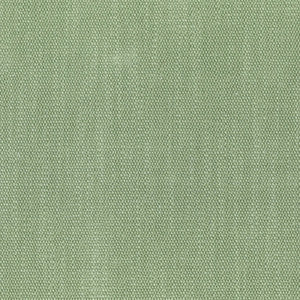 F4089 Basil by Greenhouse Fabric