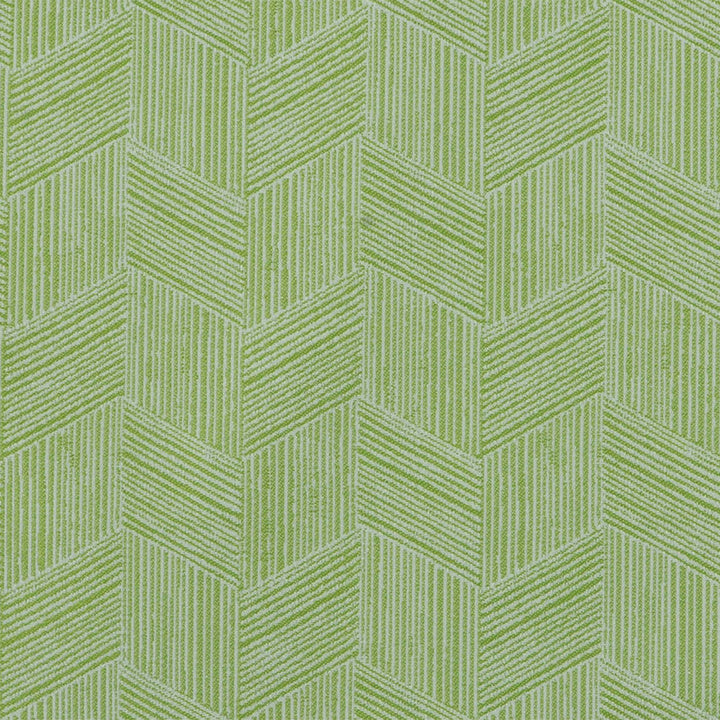 F4141 Kiwi by Greenhouse Fabric 61% Polypropylene, 39% Polyester
 2,000 Light Hours Mexico 27,000 </p><p>Repeat: 9.5" H, 10.125" V 55" - Fabric Carolina -