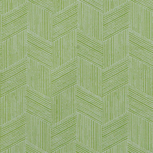 F4141 Kiwi by Greenhouse Fabric
