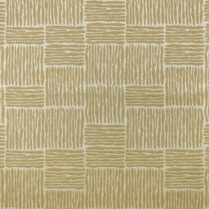 F4147 Wicker by Greenhouse Fabric