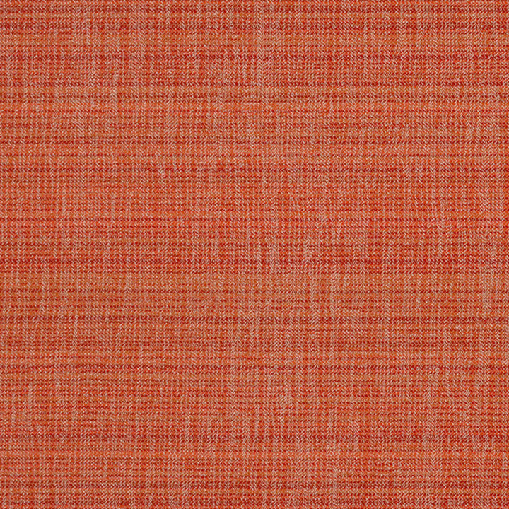 F4165 Punch by Greenhouse Designer Fabric 63% Polypropylene, 37% Polyester
 2,000 Light Hours Mexico 38,000 </p><p>Repeat: 4.25" H, 10" V 54" - Swanky Fabrics -
