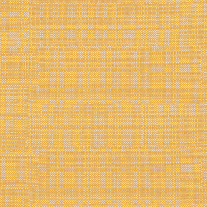 F4170 Daffodil by Greenhouse Fabric F06: Outdoor 62% Polypropylene, 38% Polyester 2,000 Light Hours Mexico 38,000 double rubs Water Repellent </p><p>Repeat: .5" H, .5" V 54" - Fabric Carolina -
