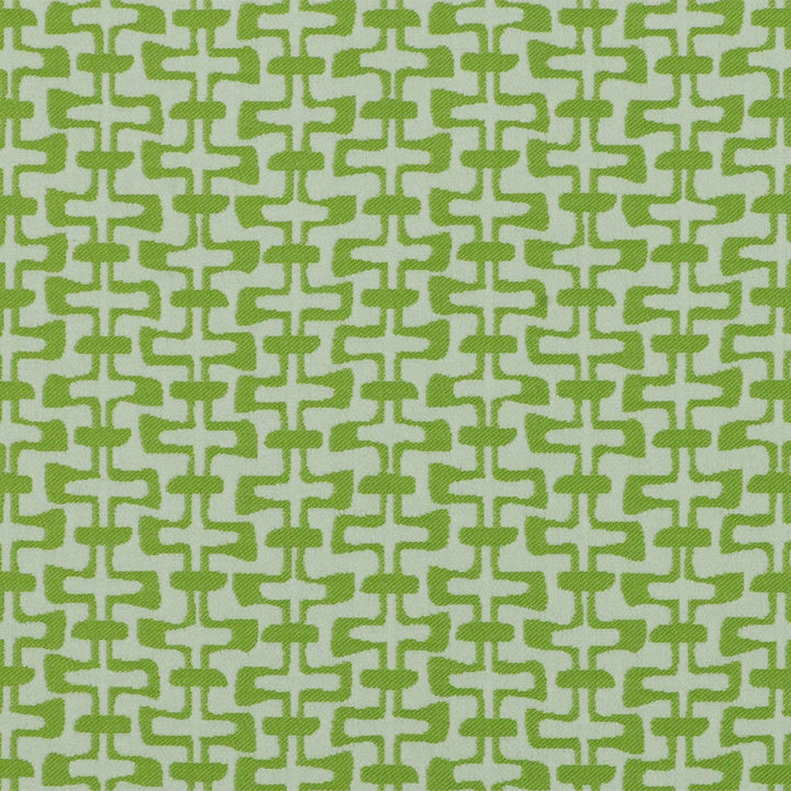 F4173 Kiwi by Greenhouse Fabric 63% Polypropylene, 37% Polyester
 2,000 Light Hours Mexico 18,000 </p><p>Repeat: 7" H, 6.5" V 56" - Fabric Carolina -