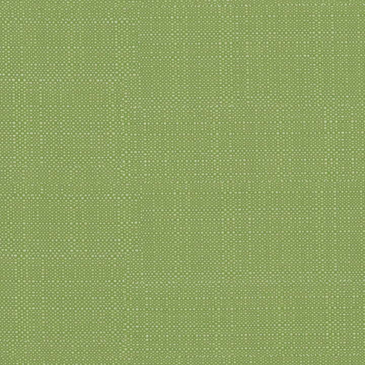 F4174 Island Green by Greenhouse Fabric F06: Outdoor 62% Polypropylene, 38% Polyester 2,000 Light Hours Mexico 38,000 double rubs Water Repellent </p><p>Repeat: .5" H, .5" V 54" - Fabric Carolina -