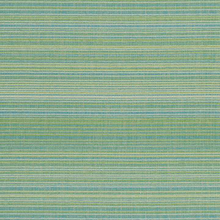F4177 Jade by Greenhouse Designer Fabric F06: Outdoor 63% Polypropylene, 37% Polyester 2,000 Light Hours Mexico 38,000 double rubs Water Repellent </p><p>Repeat: 4.25" H, 10" V 54" - Swanky Fabrics -