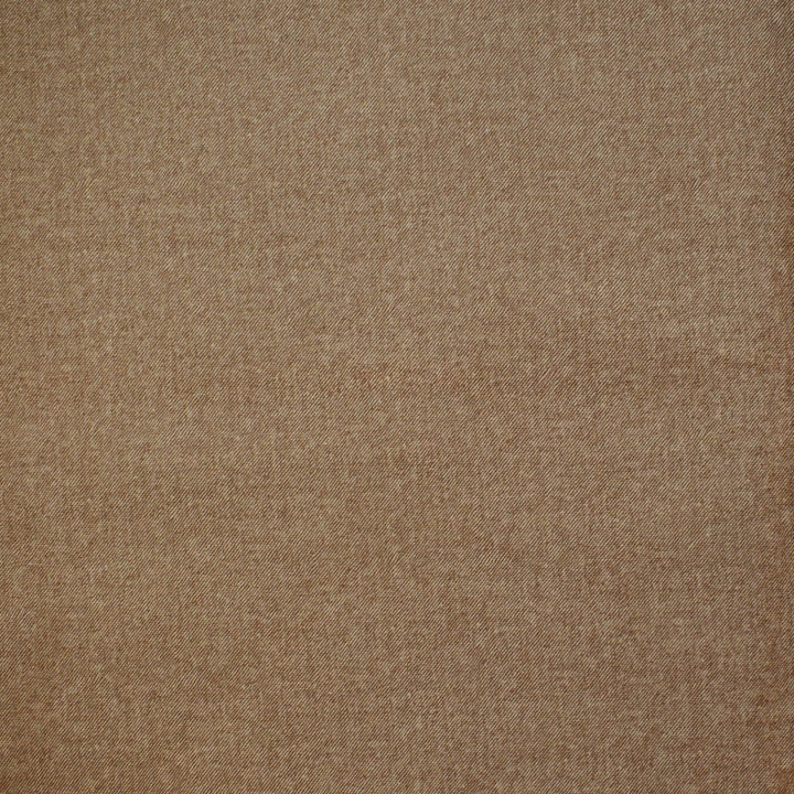 F4199 Sandy Brown by Greenhouse Fabric F07: Value Plush 100% Polyester China 100,000 double rubs </p><p>Repeat: None 55" - Fabric Carolina -
