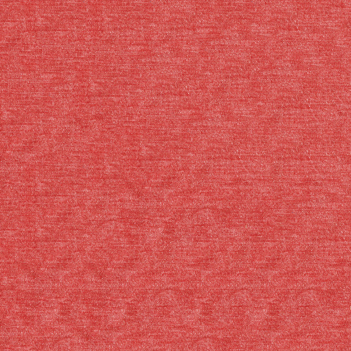 F4212 Gladiola by Greenhouse Fabric F07: Value Plush 65% Polyester, 35% Viscose China 60,000 double rubs </p><p>Repeat: No Definite Repeat 56" - Fabric Carolina -