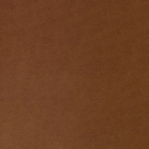 F4266 Nutmeg by Greenhouse Fabric