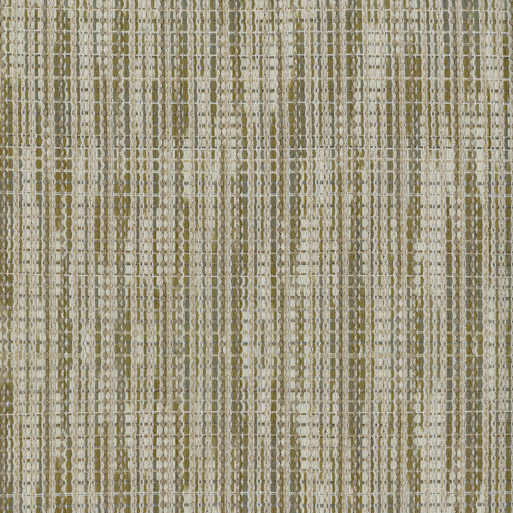 F4319 Birch by Greenhouse Designer Fabric F10: Performance Neutrals 95.5% Polyester, 3.5% Rayon, 1% Cotton China 35,000 double rubs Endurepel </p><p>Repeat: None 54" - Swanky Fabrics -