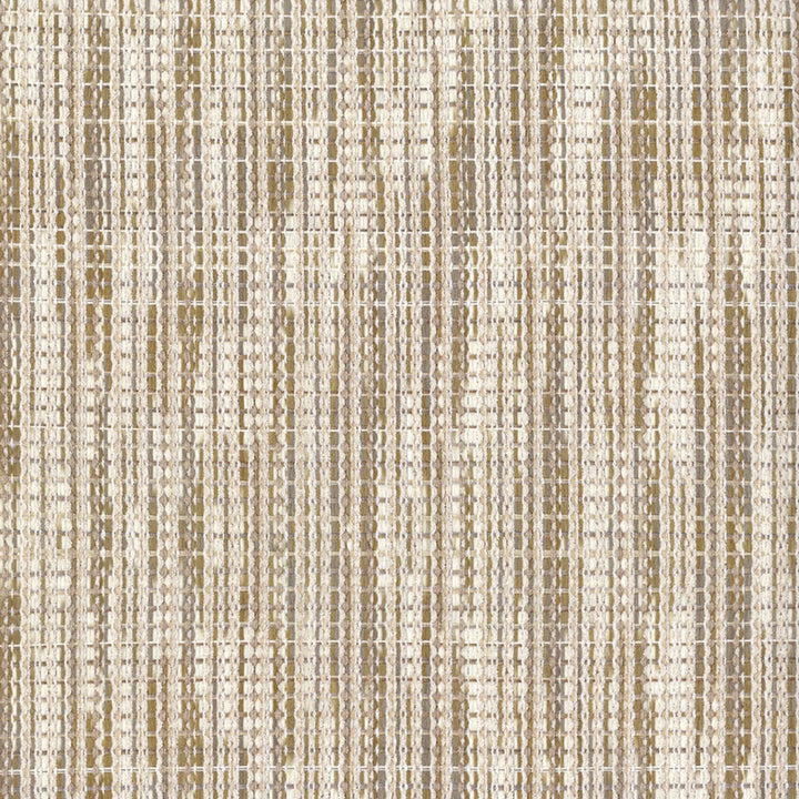 F4319 Birch by Greenhouse Fabric 95.5% Polyester, 3.5% Rayon, 1% Cotton China 40000 </p><p>Repeat: None 54" - Fabric Carolina -