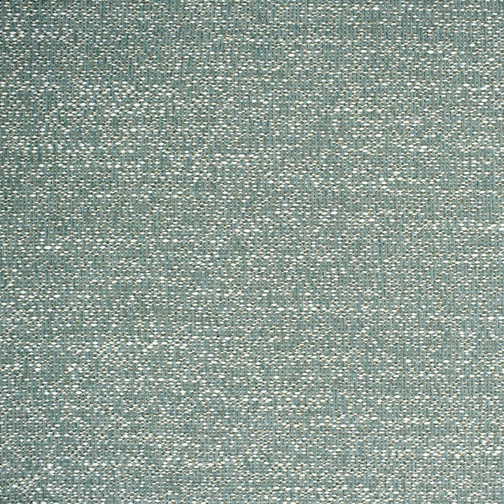 F4364 Shadow by Greenhouse Designer Fabric 100% Polyester China 50,000 </p><p>Repeat: None 55" - Swanky Fabrics -
