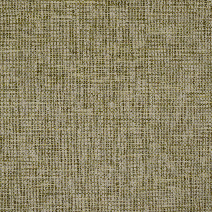 F4368 Spring by Greenhouse Fabric F11: Performance Colors 100% Polyester China 45,000 double rubs Endurepel </p><p>Repeat: None 57" - Fabric Carolina -
