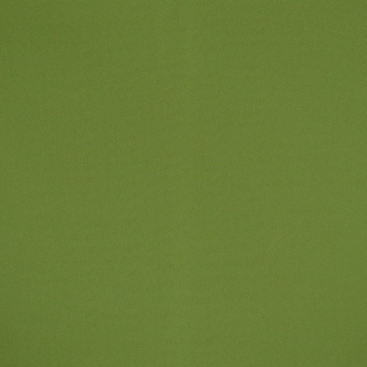 F4523 Spring by Greenhouse Fabric F15: Outdoor 100% Solution-Dyed Polyester 1,000 Light Hours China 150,000 double rubs Endurepel </p><p>Repeat: None 54" - Fabric Carolina -