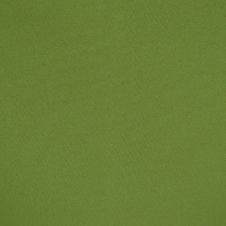 F4523 Spring by Greenhouse Designer Fabric 100% Solution-Dyed Polyester
 1,000 Light Hours China 150,000 </p><p>Repeat: None 54" - Swanky Fabrics -