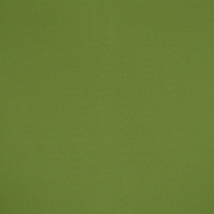 F4523 Spring by Greenhouse Designer Fabric F15: Outdoor 100% Solution-Dyed Polyester 1,000 Light Hours China 150,000 double rubs Endurepel </p><p>Repeat: None 54" - Swanky Fabrics -