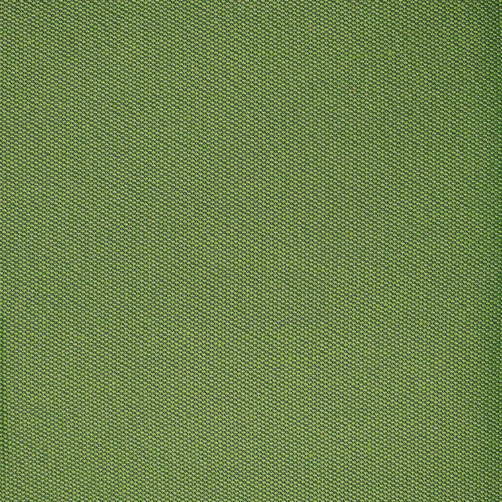 F4525 Grass by Greenhouse Fabric 100% Solution-Dyed Polyester
 1,000 Light Hours China 150,000 </p><p>Repeat: None 54" - Fabric Carolina -