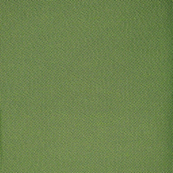 F4525 Grass by Greenhouse Fabric F15: Outdoor 100% Solution-Dyed Polyester 1,000 Light Hours China 150,000 double rubs Endurepel </p><p>Repeat: None 54" - Fabric Carolina -