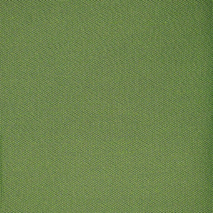 F4525 Grass by Greenhouse Fabric