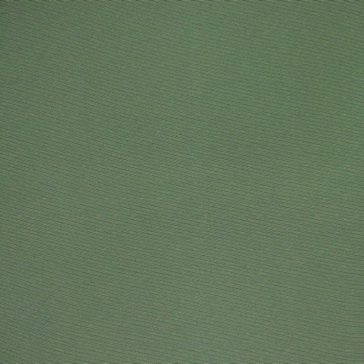 F4527 Grass by Greenhouse Designer Fabric 100% Solution-Dyed Polyester
 1,000 Light Hours China 150,000 </p><p>Repeat: None 54" - Swanky Fabrics -