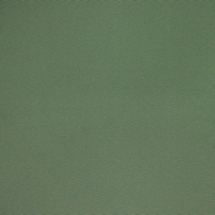 F4527 Grass by Greenhouse Fabric F15: Outdoor 100% Solution-Dyed Polyester 1,000 Light Hours China 150,000 double rubs Endurepel </p><p>Repeat: None 54" - Fabric Carolina -