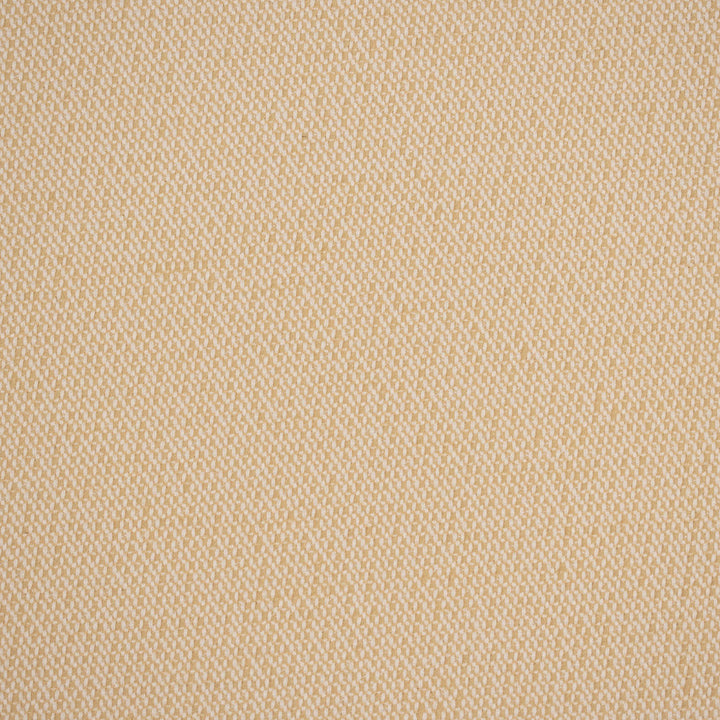 F4546 Buff by Greenhouse Designer Fabric 100% Solution-Dyed Polyester
 1,000 Light Hours China 150,000 </p><p>Repeat: None 54" - Swanky Fabrics -