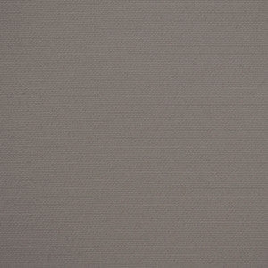 F4561 Cinder by Greenhouse Fabric