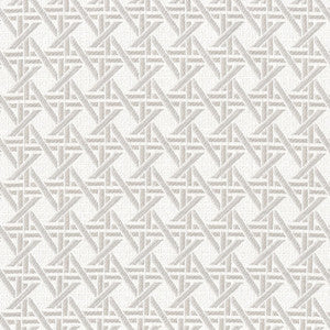 F4582 Cement by Greenhouse Fabric