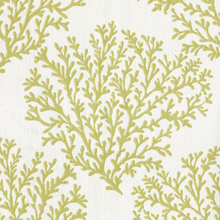 F4591 Fern by Greenhouse Fabric 100% Solution-Dyed Polyester China 50,000 </p><p>Repeat: 14.5" H, 15.25" V 56" - Fabric Carolina -