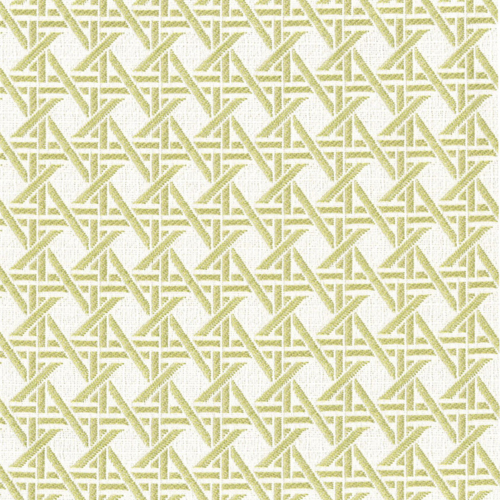 F4595 Fern by Greenhouse Fabric 100% Solution-Dyed Polyester China 50,000 </p><p>Repeat: 1.23" H, 1.23" V 56" - Fabric Carolina -