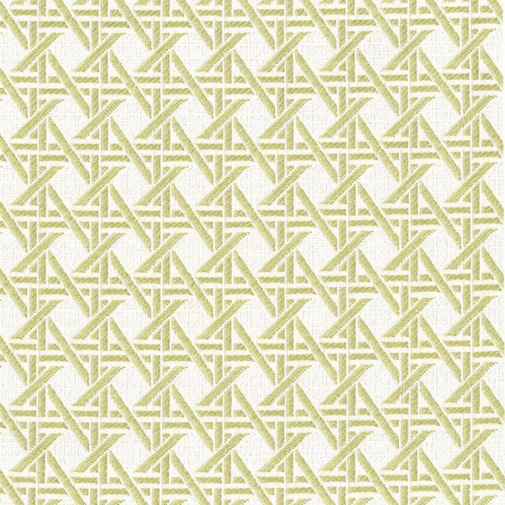 F4595 Fern by Greenhouse Fabric 100% Solution-Dyed Polyester China 50,000 </p><p>Repeat: 1.23" H, 1.23" V 56" - Fabric Carolina -