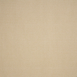 F4616 Taupe by Greenhouse Fabric