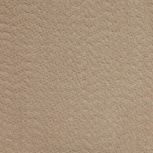 F4669 Flannel by Greenhouse Fabric