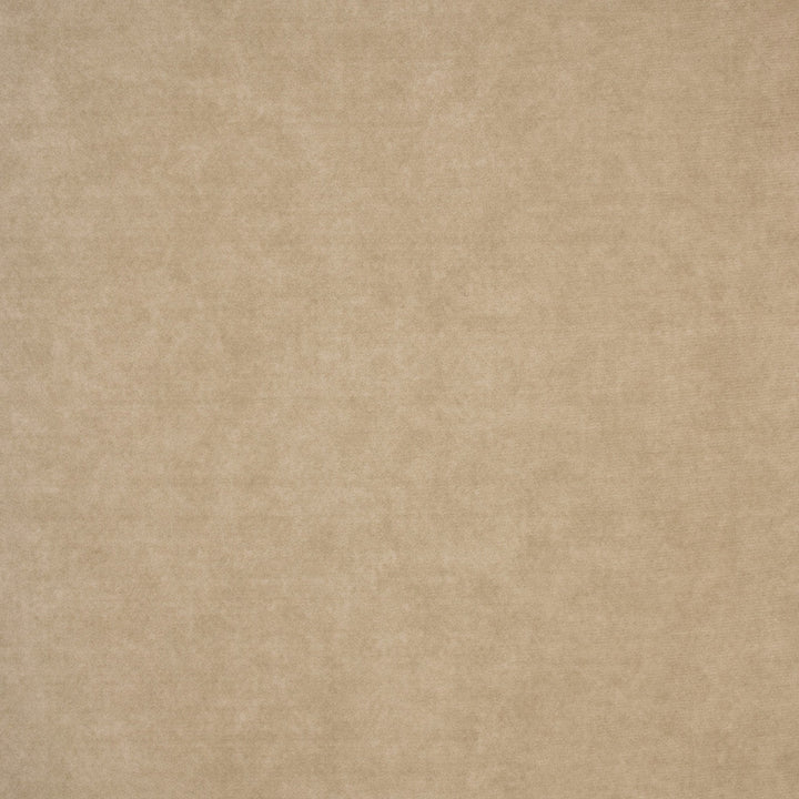 F4887 Dust by Greenhouse Fabric 100% Polyester China 30,000 </p><p>Repeat: None 54" - Fabric Carolina -