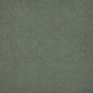 F4900 Coast by Greenhouse Fabric