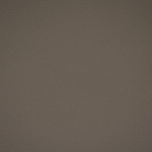 F4913 Medium Grey by Greenhouse Fabric