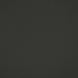 F4915 Charcoal by Greenhouse Fabric