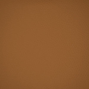 F4981 Camel by Greenhouse Fabric