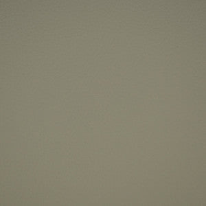 F4989 Fog by Greenhouse Fabric