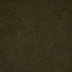 F4992 Olive by Greenhouse Fabric