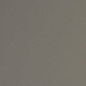 F5005 Horizon by Greenhouse Fabric
