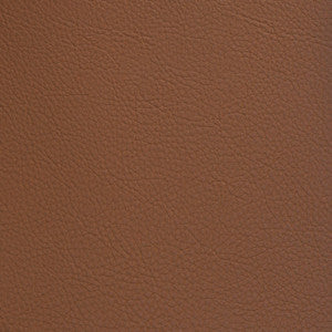 F5026 Rodeo by Greenhouse Fabric