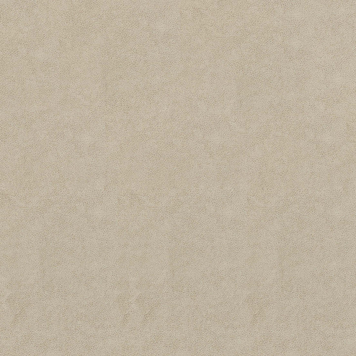 F5050 Flax by Greenhouse Fabric 100% Vinyl, Backing: 100% Polyester China 1,500,000 </p><p>Repeat: None 54" - Fabric Carolina -