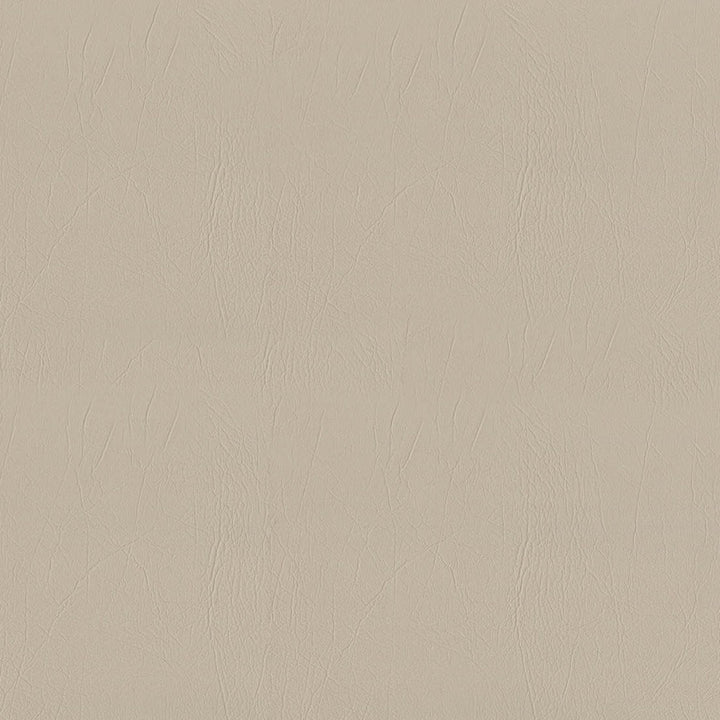 F5054 Ecru by Greenhouse Fabric 100% Vinyl, Backing: 100% Polyester China 1,500,000 </p><p>Repeat: None 54" - Fabric Carolina -