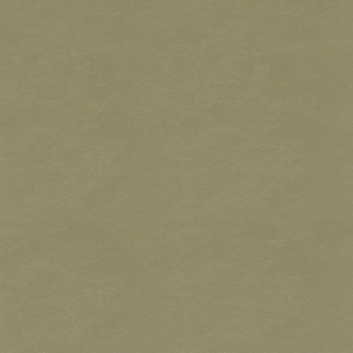 F5057 Cement by Greenhouse Fabric 100% Vinyl, Backing: 100% Polyester China 1,500,000 </p><p>Repeat: None 54" - Fabric Carolina -